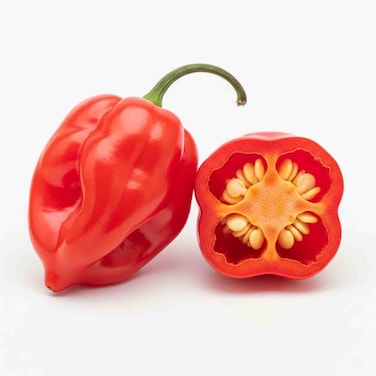 Chill Habanero Red 40g