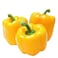 Capsicum Yellow 500g 