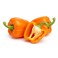 Capsicum Orange 500g