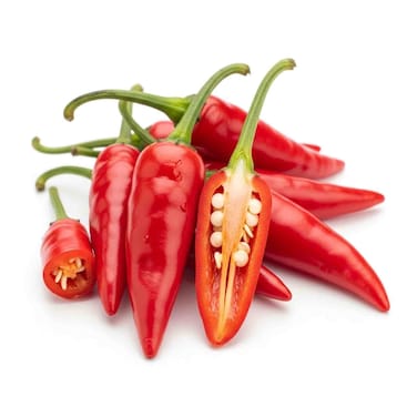 Chilli Red Bird