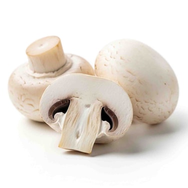 Mushroom White Small 250G