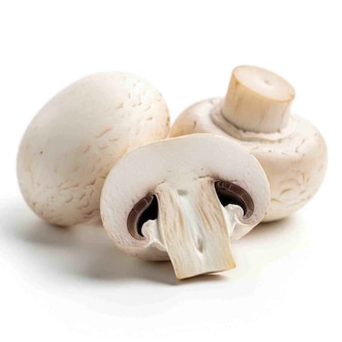 Mushroom White Small 250G