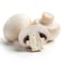 Mushroom White Small 250G
