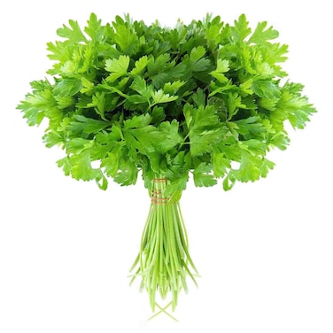 Coriander Bunch