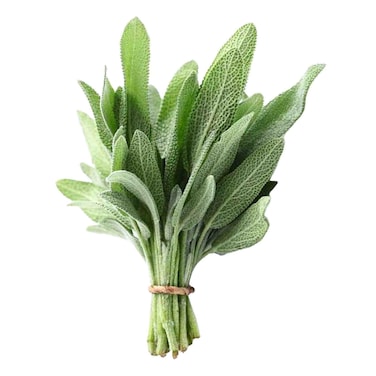 Sage Bunch