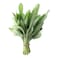 Sage Bunch