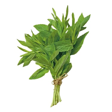 Mint Bunch