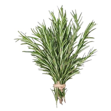 Rosemary Bunch