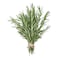 Rosemary Bunch