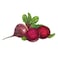 Organic Vegetable Beetroot 1kg
