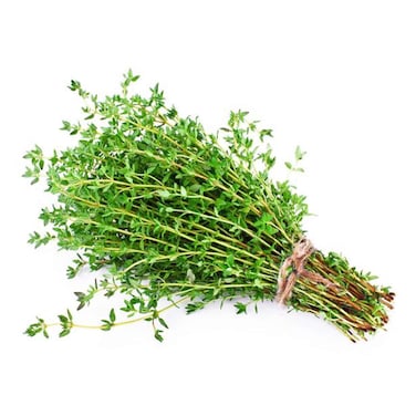 Thyme Bunch