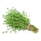 Thyme Bunch