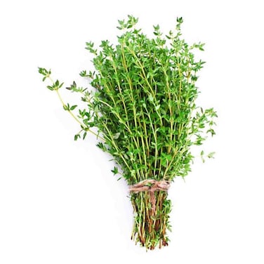 Thyme Bunch