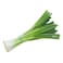 Spring Onion Bunch