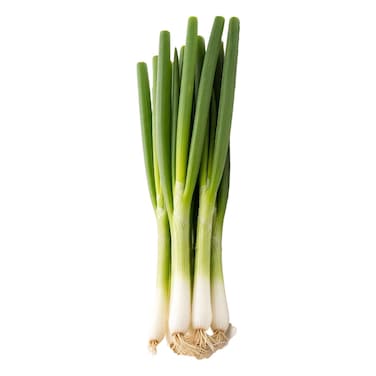 Spring Onion Bunch