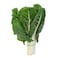 Spinach Bunch