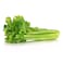 Celery Stick 500g
