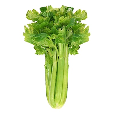 Celery Stick 500g