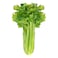 Celery Stick 500g