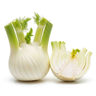 Fennel