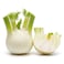 Fennel