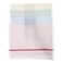 Kitchen Towel Small Checked