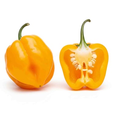 Chilli Habanero Yellow 40g