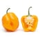 Chilli Habanero Yellow 40g