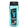 Hobby Arctic 2-In-1 Body Wash And Shampoo For Men 400ml