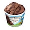 Ben &amp; Jerry&#39;S Chocolate Fudge Brownie 100Ml
