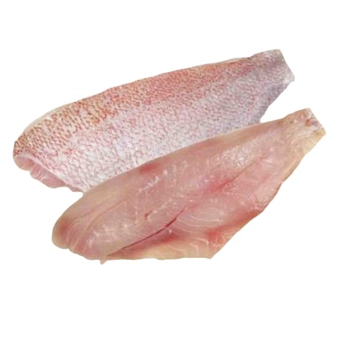 Fresh Red Snapper Fillet