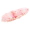 Fresh Tilapia Steak