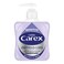 Carex Sensitive Antibacterial Hand Wash 250ml