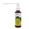Eugica Mouth Spray 10ml 