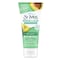 St Ives Nourish and Glow face moisturizer 170g 