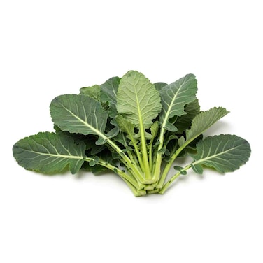 Broccoli Leaves Bunch