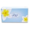 Fay Facial Tissue White 80S