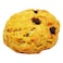 Mini Tea Scones Chocolate 30 Gr