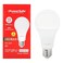 Powersafe Led Bulb 15W Warm White B22