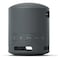 Sony Wireless Speaker Srs-Xb100 Black