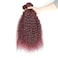 LUSH LOOSE WAVE WEAVE COLOR 199J