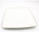 SQ DINNER 10DINNER PLATE CZT18-01