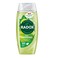 RADOX SHOWER GEL F ENERGISED 225ML