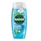 RADOX SHOWER GEL F ACTIVE 225ML