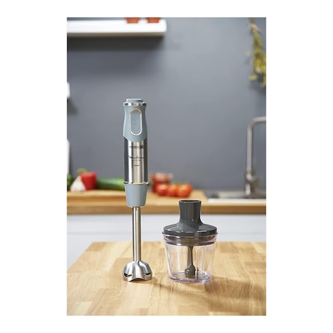Moulinex Hand Blender Chopper Dd656D27