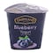 Dairyland Blueberry Yogurt 100G
