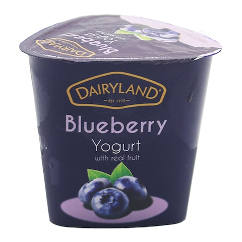 Dairyland Blueberry Yogurt 100G