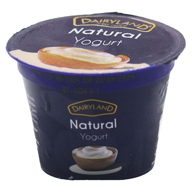 Dairyland Natural Yogurt 100G