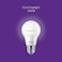 Ecolink Led Bulb 5W E27 Warm White