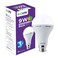 Ecolink Led Bulb 9W B22 Warm White